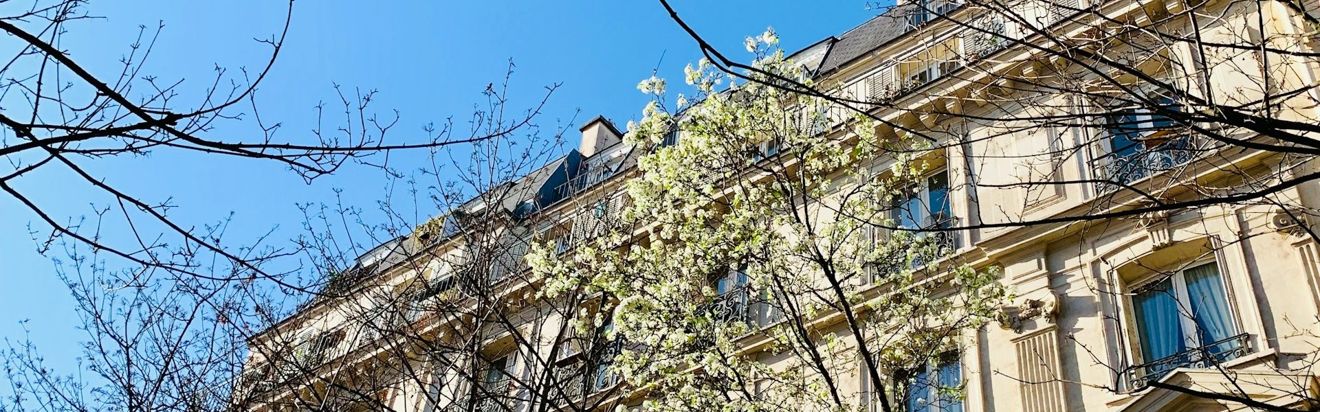 Les travaux de rénovation à Paris