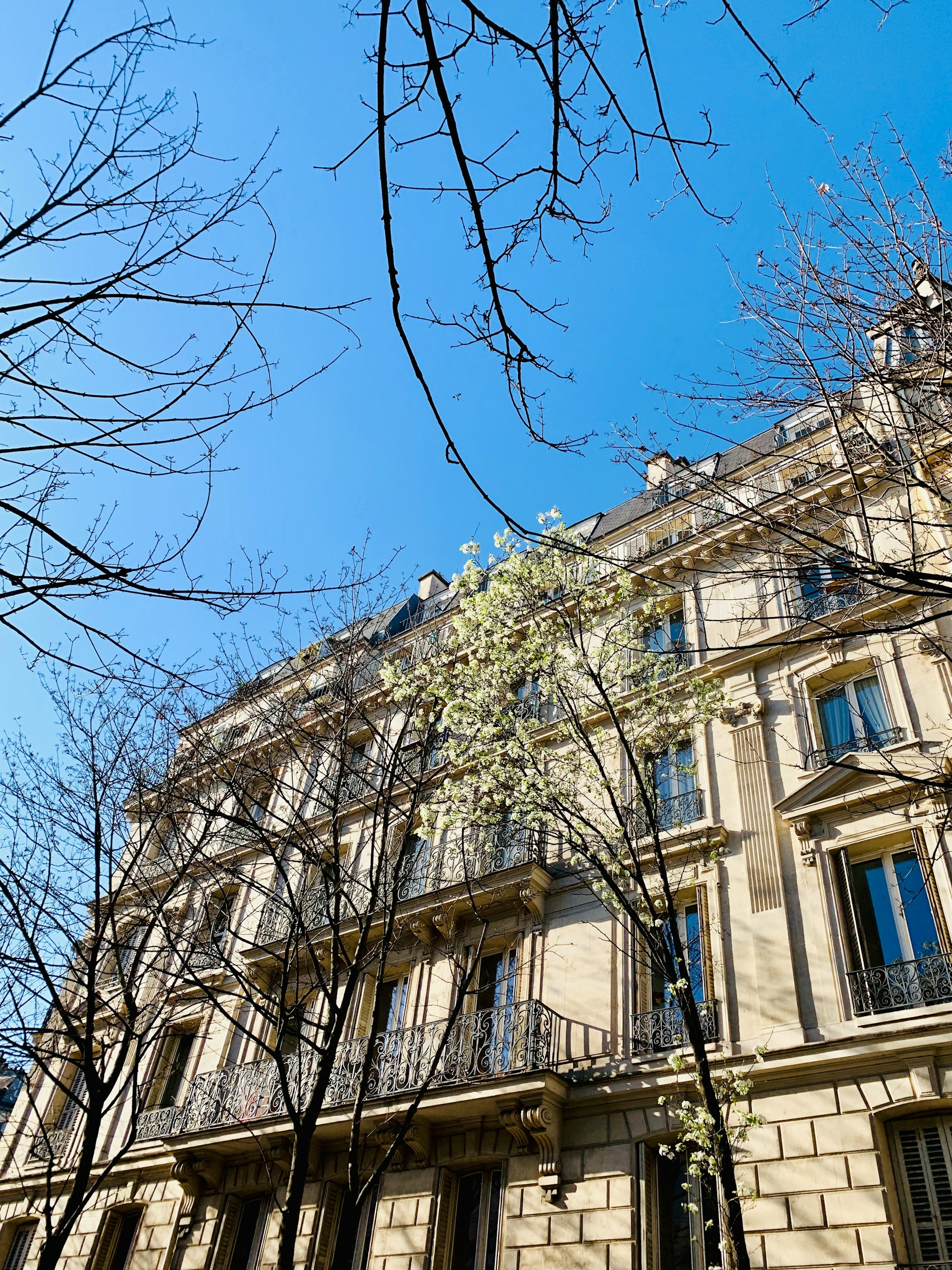 Les travaux de rénovation à Paris